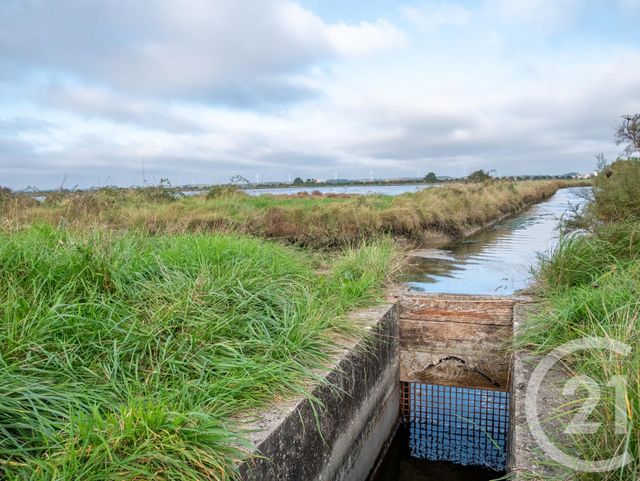 terrain - OLONNE SUR MER - 85